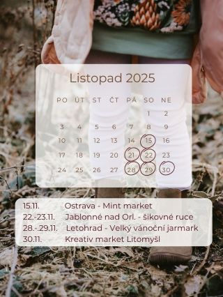 Listopad bude pro mě nabitý a zároveň to budou moje poslední výjezdní akce v tomto roce! 🎉 Budu moc ráda, když se ještě...